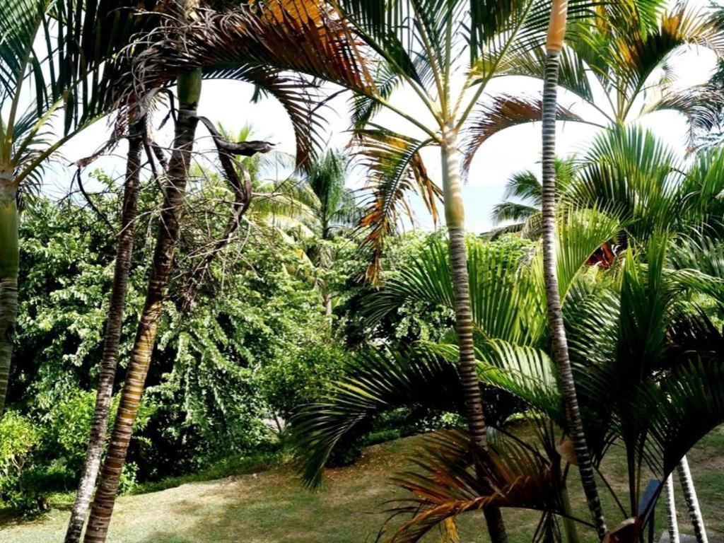 Viseisei Anchorage Beach Resort מראה חיצוני תמונה